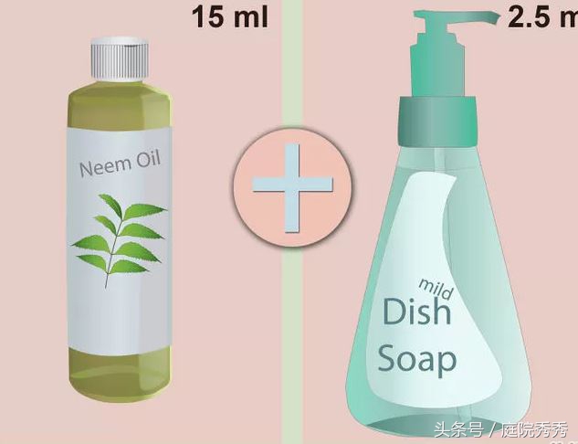 家庭园艺常用杀虫剂,固体杀虫剂使用方法养花