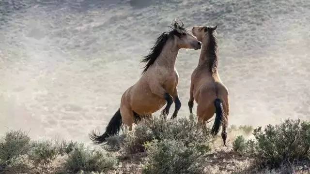 看书刷剧,寒假刷剧刷电影