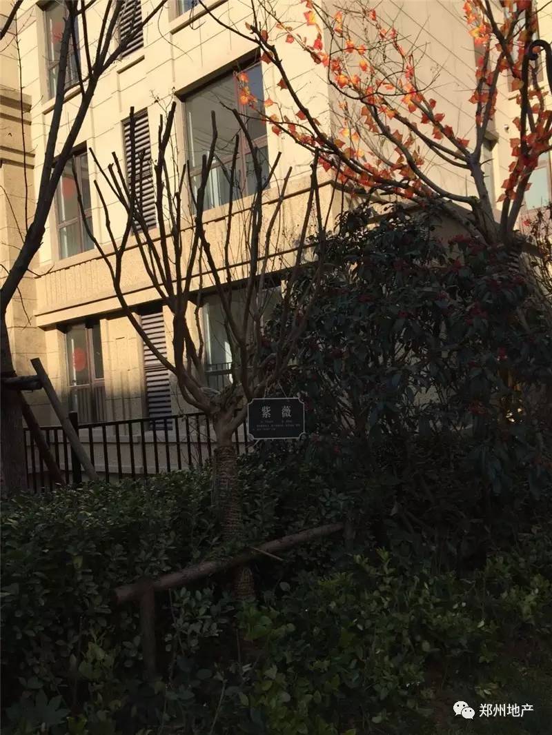 中海验房视频,中海交房验房视频