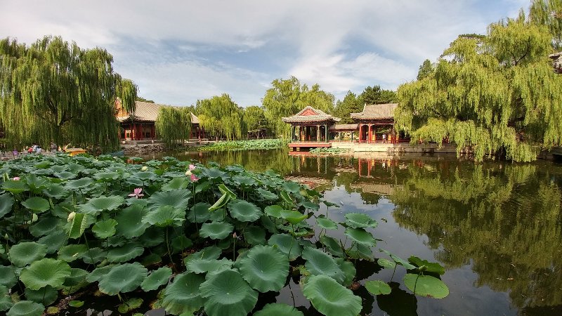 2016年度相机行业观察[Soomal]