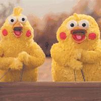 深圳春节花市主会场,逛深圳迎春花市