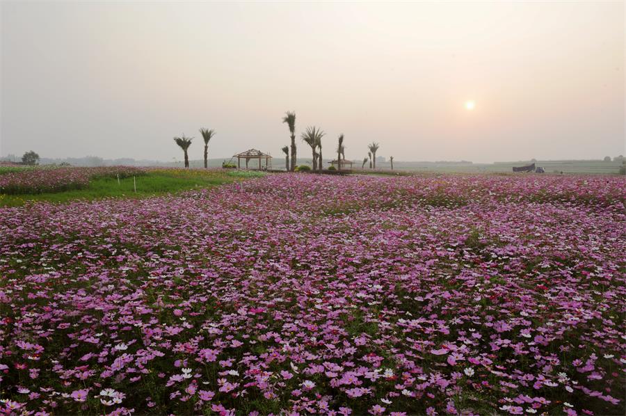 南宁风景区旅游景点排名榜前十名,南宁首批十大特色旅游名镇