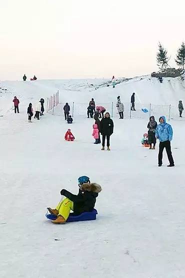哈尔滨冬天免费玩雪的地方,哈尔滨冰雪旅游春节