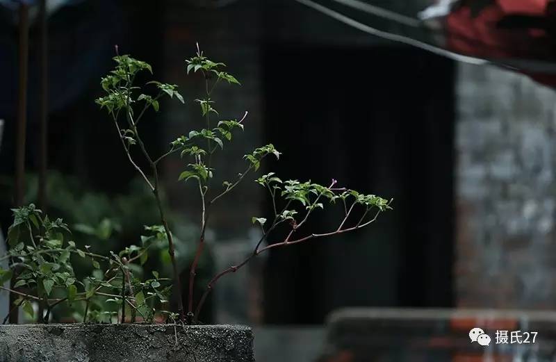 贵阳小河巷老街巷,贵阳有小河的地方