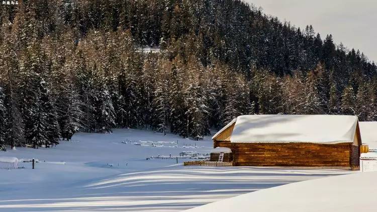 最新喀纳斯禾木视频,新疆喀纳斯禾木冬天视频