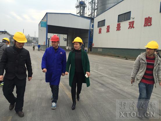 湘乡实施93个重点项目,湘乡经开区即将开工的项目