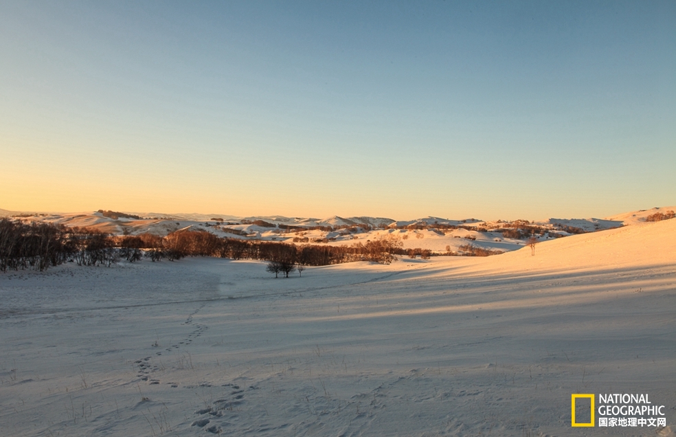 趁冬天还没有来临之前去一趟,一起到坝上去看雪