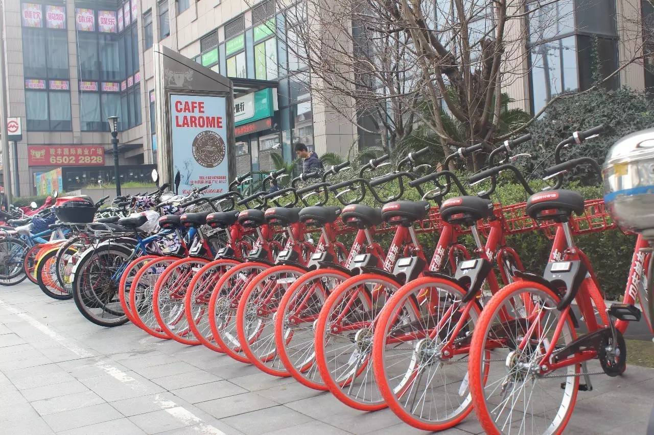 上海共享单车哪个平台比较好,上海哪种共享单车最多