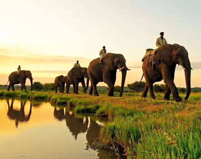 「镇生活」过年还在镇江好，镇江VS国外，100块钱能干啥？看完惊呆你！