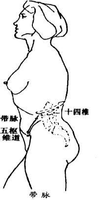 十二经络与奇经八脉的详细讲解,中医大讲堂之奇经八脉