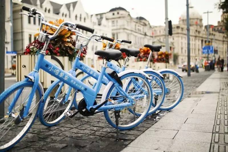 上海共享单车哪个平台比较好,上海哪种共享单车最多