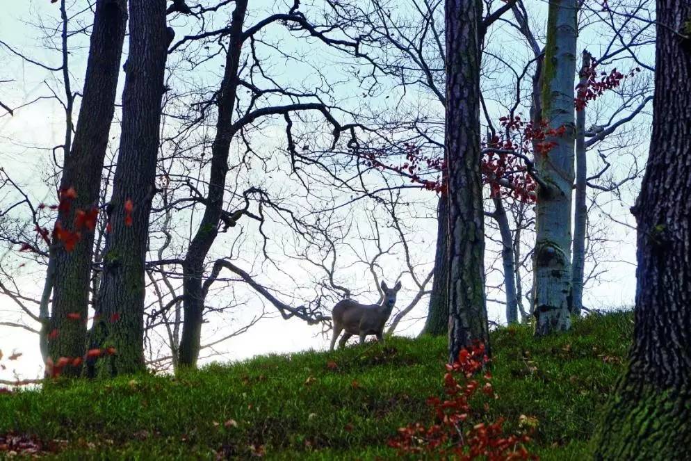 波西米亚长裙效果图,波西米亚风格裙子非得去旅游穿吗