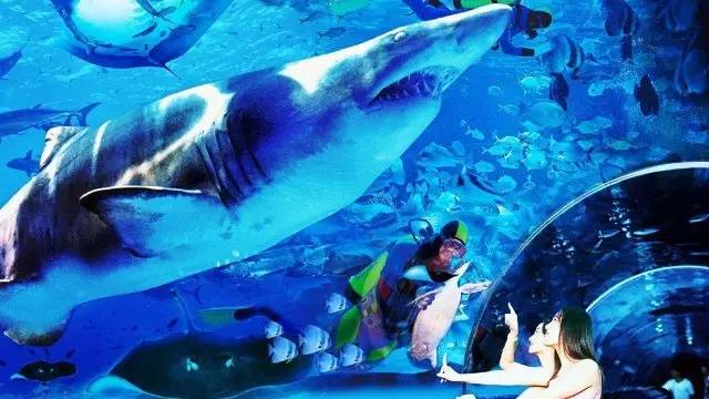 属鸡的人，去这些地方都免费了……