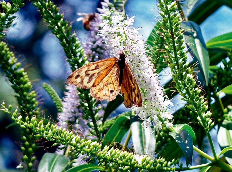 西双版纳3小时可以去哪,西双版纳五小时