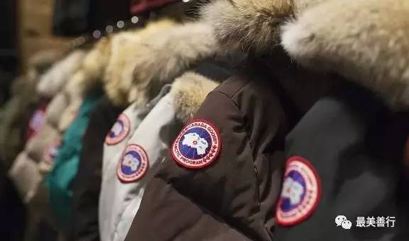 明星加拿大鹅,明星加拿大鹅穿搭