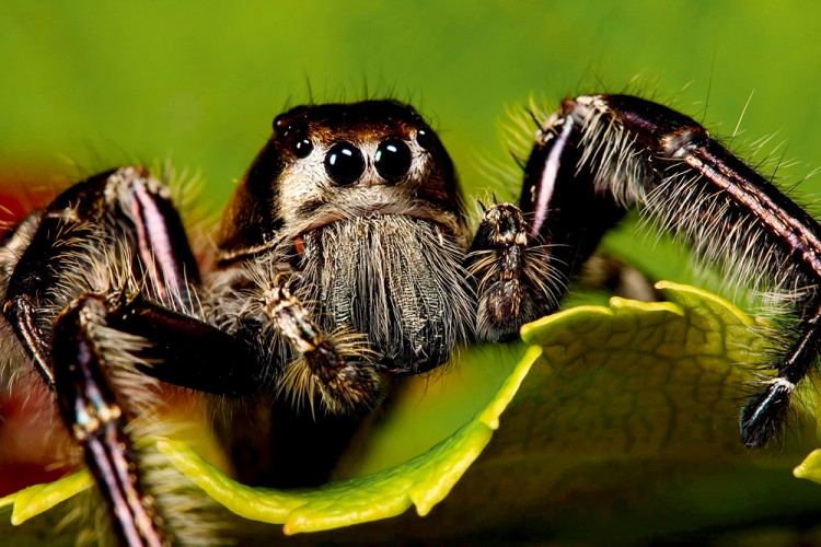 西双版纳3小时可以去哪,西双版纳五小时