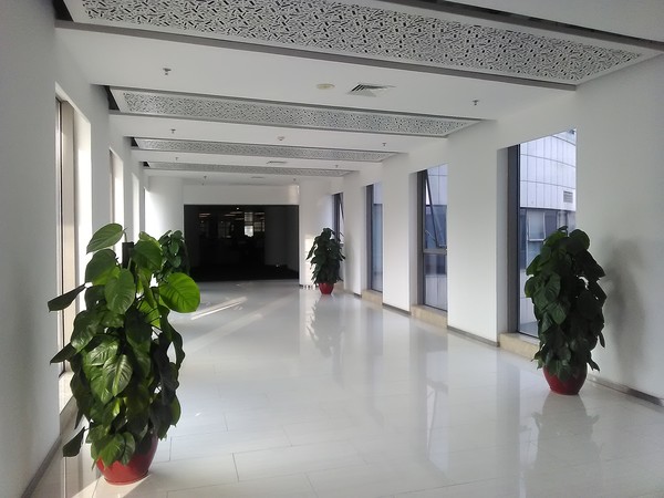 ivviV1M评测：除唯美设计，还支持电信黄金频段