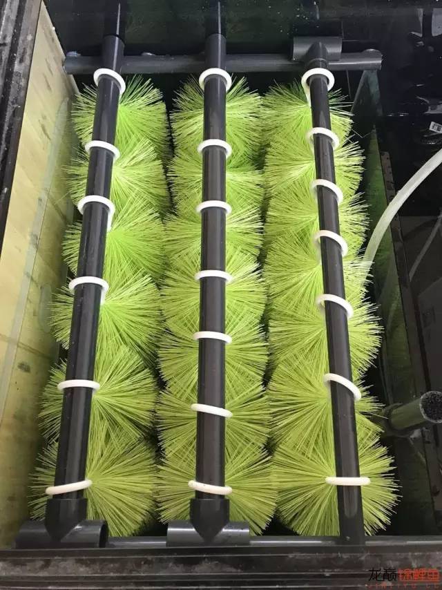 地缸里面漂浮的粉末怎么解决,粘的地缸怎么干得快