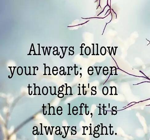 HeForShe｜我们应该选择怎样的行业？那些《隐藏人物》教给我的事