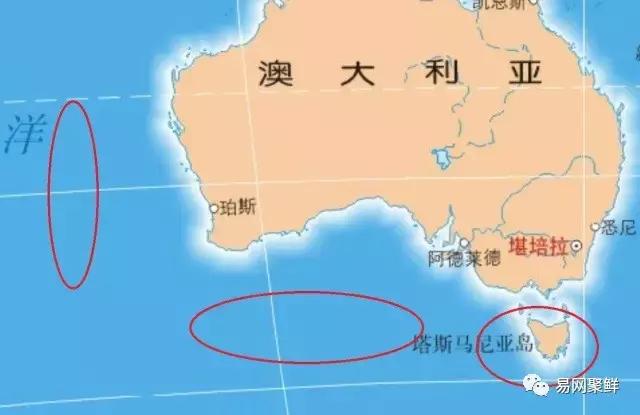 雪蟹好还是龙虾好,大龙虾好还是海蟹好