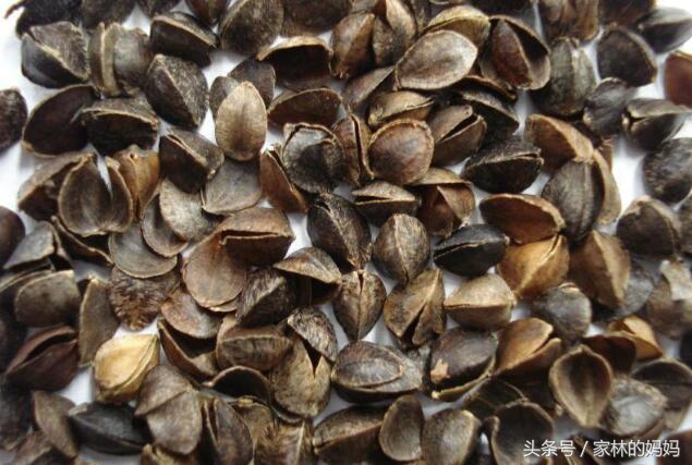 宝宝湿疹反反复复要怎么才会好,宝宝湿疹反复发作一招解决