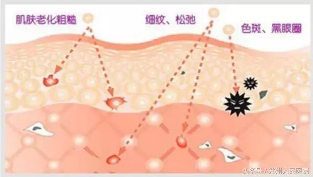 郑医生科普小知识,郑医生健康小知识