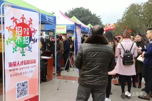 云阳公益性岗位招聘,云阳县2024年人才引进