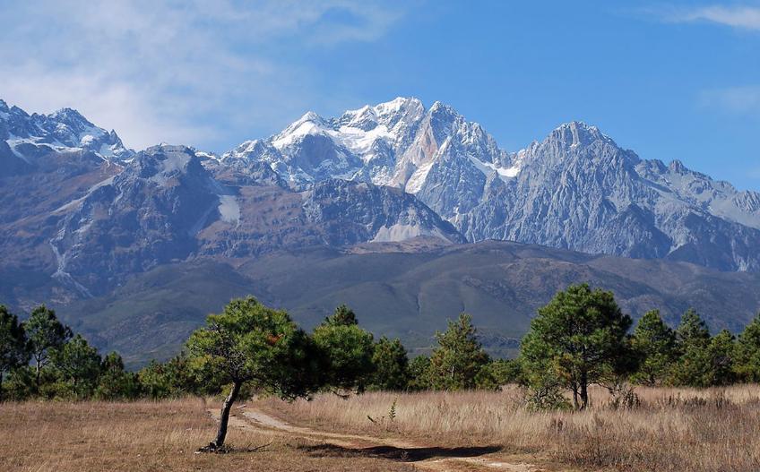 什么是真正的网络创业,网络创业还是实体创业