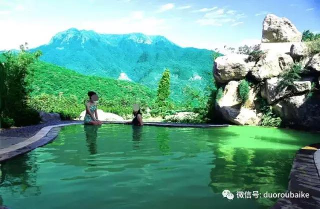 台湾寻肉之旅：小玲带你逛春节的台北花市！