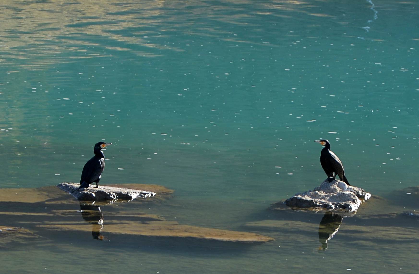 河道被挖开,被挖出来的河