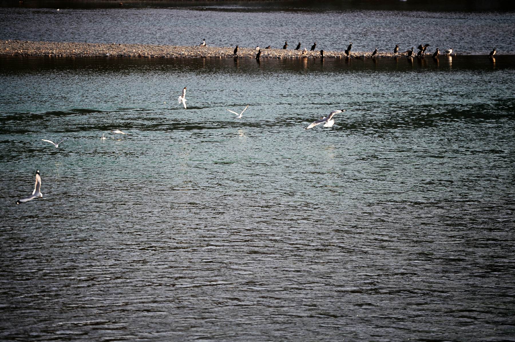 河道被挖开,被挖出来的河