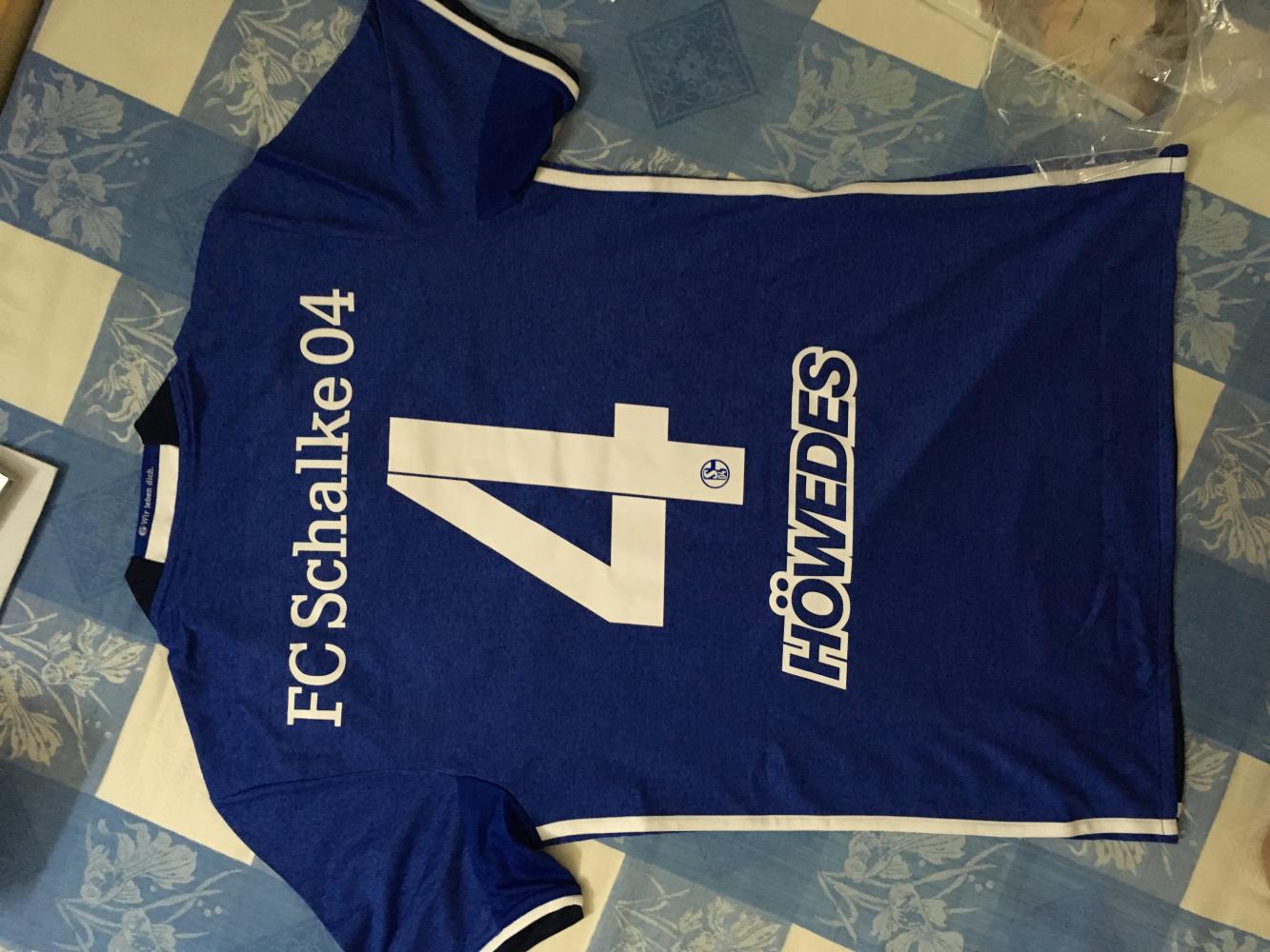 征文丨我与沙尔克的故事致照亮我人生的每一个笑容