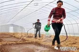 水溶肥在苹果树施用时间表,水溶肥什么时候施用效果好