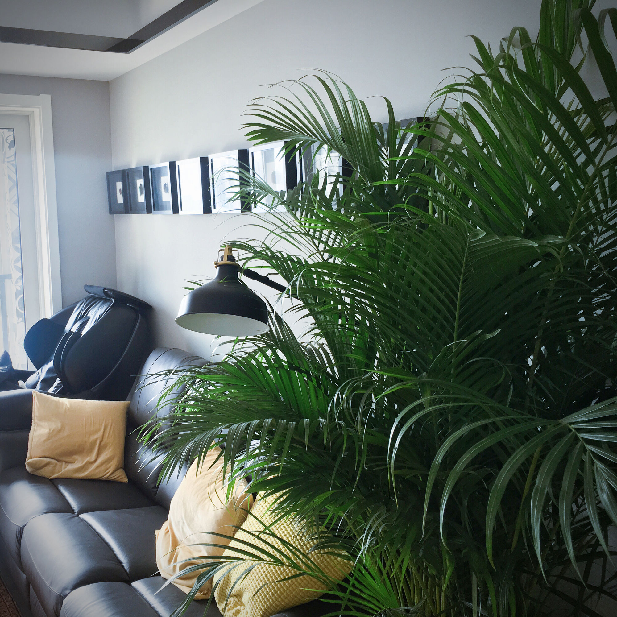 一人住一室挑高房,91平两室一厅一卫一厨装修