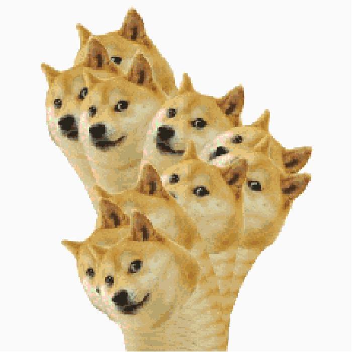 日本亚马逊海淘日淘教程,日本亚马逊海淘的支付方式