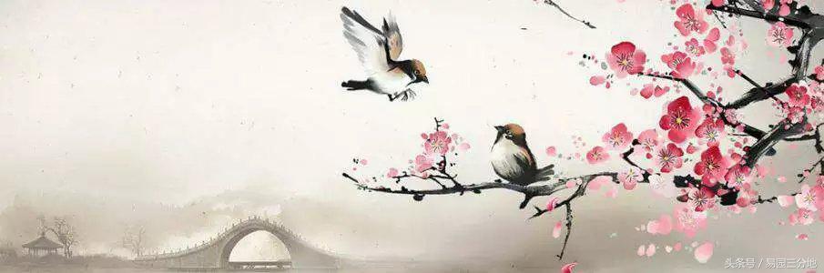 梅花易数体用对照表,梅花易数体讲解