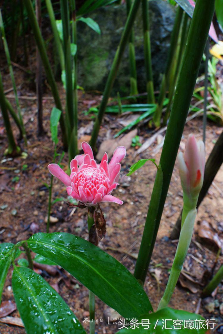 汇客厅2020,狮城新加坡旅游掠影
