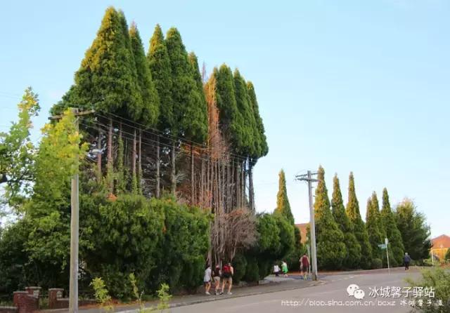 澳大利亚小镇都叫什么名字,澳大利亚蓝山为什么叫蓝山