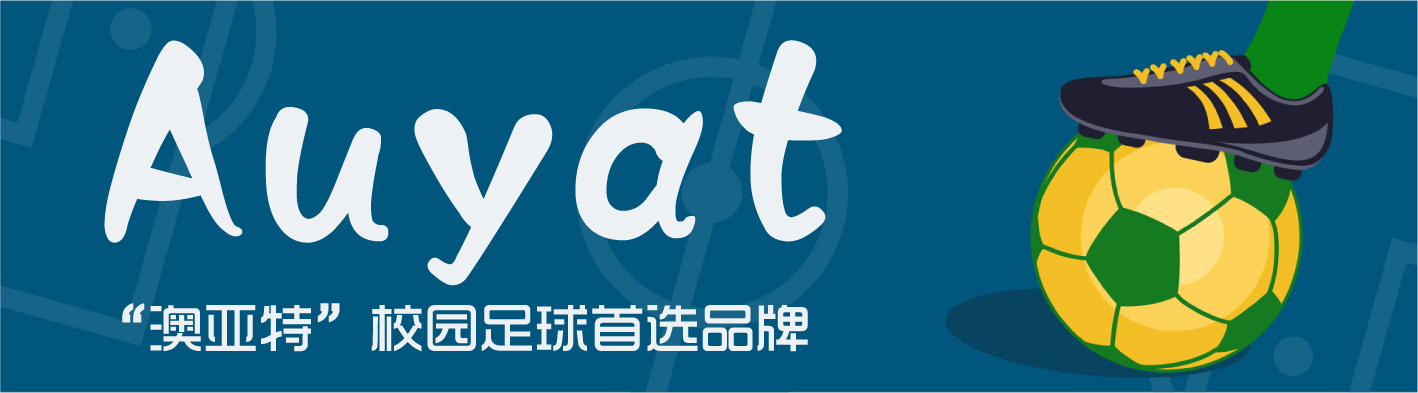 亚足联精英教练员培训,中国足球协会d级教练员培训班
