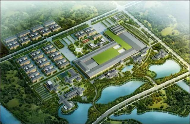 武汉这几年为什么这么火,武汉新的一年从哪开始