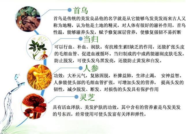 少白头怎么解释,少白头怎么说