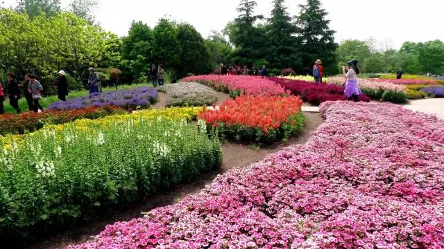 过年上海周边旅游最值得去的地方,上海假期周边旅游攻略大全