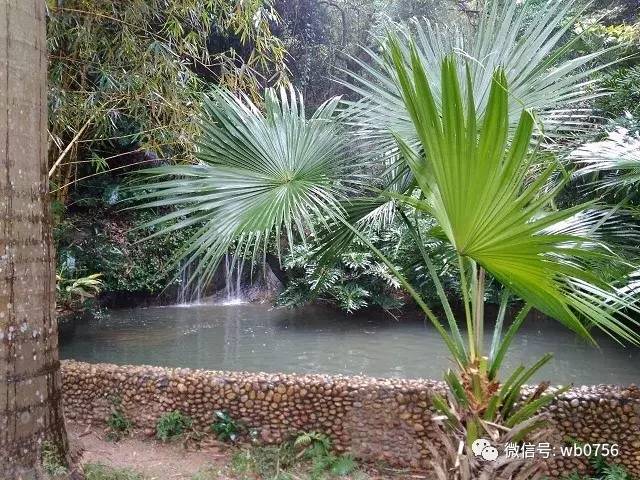 珠海本地人必去的美食推荐,珠海美食攻略必吃美食