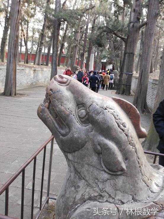 数字三孔—春节寻根之旅