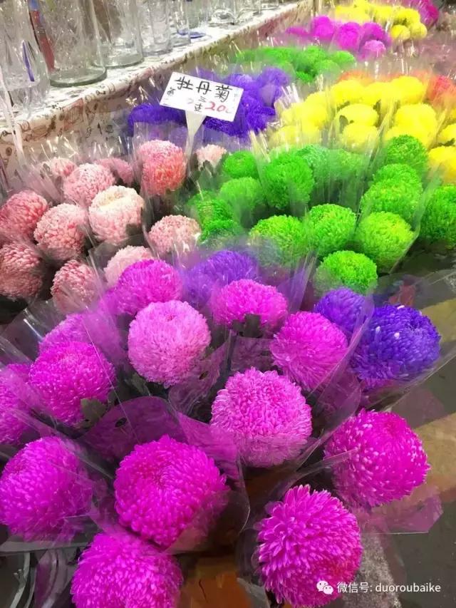 春节花市的鲜花,春节能看花的植物