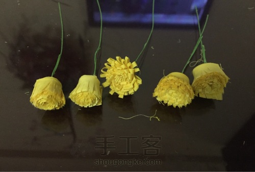 荞葭烫花-玛格丽特