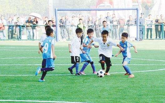 足球为什么比不了篮球,篮球和足球哪个容易学