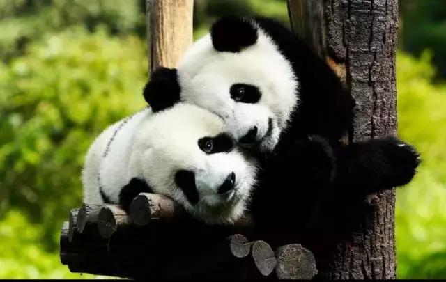 沈阳这下要在全国出名了！