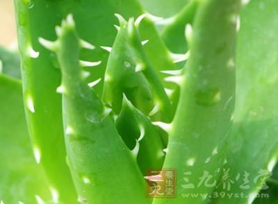 去粉刺的治愈过程放大,粉刺针去除粉刺后有黑印