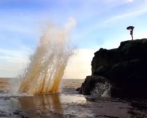 和孩子一起制定下一次旅行的计划,跟着语文书去旅行2020